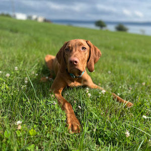 Meet your Posher, Georgia